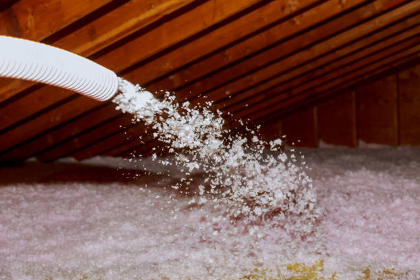 Best Soundproof Insulation Installation  in Pella, IA